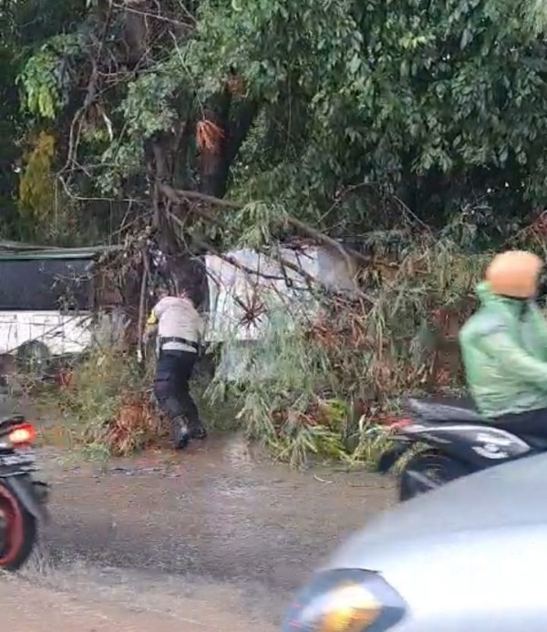 Bhabinkamtibmas Harapan Mulya Inisiatif Bersihkan Pohon Tumbang Yang Halangi Jalan