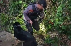 IMG-20260330-WA0055_copy_360x196