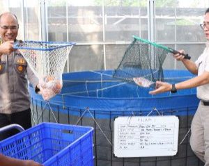 IMG-20260521-WA0034_copy_400x239